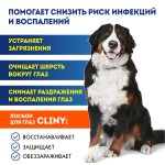 Купить Cliny лосьон очищающий для глаз для собак и кошек, 50 мл Cliny в Калиниграде с доставкой (фото 7)