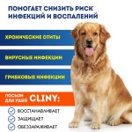 Купить Cliny лосьон очищающий для ушей для собак и кошек, 50 мл Cliny в Калиниграде с доставкой (фото 8)