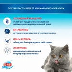 Купить Cliny Паста для вывода шерсти из ЖКТ кошек, котят, хорьков, с сыром, 75 мл Cliny в Калиниграде с доставкой (фото 1)