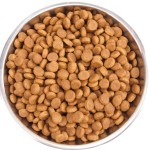 Сухой Беззерновой корм Wellness CORE Adult Cat STERILISED Chicken & Turkey Grain free из курицы с индейкой для стерилизованных кошек и кастрированных котов 4 кг