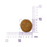 Сухой Беззерновой корм Wellness CORE Adult Cat STERILISED Chicken & Turkey Grain free из курицы с индейкой для стерилизованных кошек и кастрированных котов 4 кг