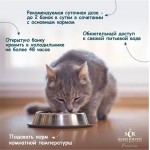 Купить Консервы для кошек Secret For Pets Premium тунец с кальмаром в желе, 85 гр Secret в Калиниграде с доставкой (фото 2)