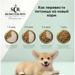 Купить Сухой корм для собак мелких пород Secret For Pets Premium с курицей и злаками, 2 кг Secret в Калиниграде с доставкой (фото 4)