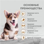 Купить Сухой корм для собак мелких пород Secret For Pets Premium с курицей и злаками, 2 кг Secret в Калиниграде с доставкой (фото 7)