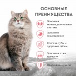 Купить Сухой корм для кошек Secret For Pets Premium Life Forse с телятиной, 2 кг Secret в Калиниграде с доставкой (фото 8)