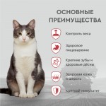 Купить Сухой корм для кошек Secret For Pets Premium Life Forse с ягненком, 2 кг Secret в Калиниграде с доставкой (фото 1)