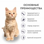 Купить Сухой корм для котят Secret For Pets Premium Life Forse с индейкой и рисом, 2 кг Secret в Калиниграде с доставкой (фото 10)