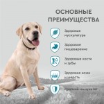 Купить Сухой корм для собак всех пород Secret For Pets Premium с лососем и рисом, 2 кг Secret в Калиниграде с доставкой (фото 7)