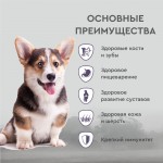 Купить Сухой корм для щенков всех пород Secret For Pets Premium с курицей и злаками, 2 кг Secret в Калиниграде с доставкой (фото 6)
