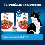 Купить Felix Двойная вкуснятина для домашних кошек, с мясом, 200 гр Felix в Калиниграде с доставкой (фото 8)