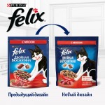 Купить Felix Двойная вкуснятина для домашних кошек, с мясом, 200 гр Felix в Калиниграде с доставкой (фото 7)