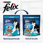 Купить Felix Двойная вкуснятина для домашних кошек, с рыбой, 200 гр Felix в Калиниграде с доставкой (фото 2)