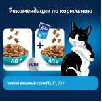 Купить Felix Двойная вкуснятина для домашних кошек, с рыбой, 200 гр Felix в Калиниграде с доставкой (фото 8)