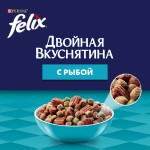 Купить Felix Двойная вкуснятина для домашних кошек, с рыбой, 200 гр Felix в Калиниграде с доставкой (фото 1)