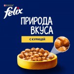 Купить Felix Природа вкуса для взрослых кошек, с курицей, 75 г Felix в Калиниграде с доставкой (фото 4)