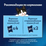 Купить Felix Аппетитные кусочки для взрослых кошек, с ягненком в желе, 75 г Felix в Калиниграде с доставкой (фото 7)