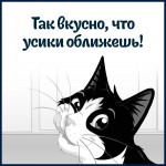 Купить Влажный корм для кошек Felix Sensations с говядиной в соусе с томатами 75 г Felix в Калиниграде с доставкой (фото 3)