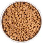 Сухой Беззерновой корм Wellness CORE KITTEN Salmon & Turkey Grain free из индейки с курицей для котят 1,75 кг