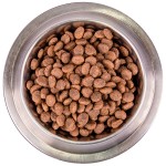 Сухой корм с низким содержанием злаков Monge BWild Dog Adult Wild Boar с мясом дикого кабана для взрослых собак всех пород 2,5 кг
