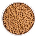 Сухой Беззерновой корм Wellness CORE Adult Cat ORIGINAL Turkey & Chicken Grain free из индейки с курицей для взрослых кошек 1,75 кг