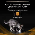 Купить PRO PLAN VETERINARY DIETS NF Renal Function Advanced care (Поздняя стадия) для кошек для поддержания функции почек, 5 кг Pro Plan Veterinary Diets в Калиниграде с доставкой (фото 7)