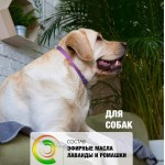 Купить Ошейник успокоительный для средних и крупных собак Relaxivet, 65 см Relaxivet в Калиниграде с доставкой (фото 6)