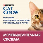 Корм сухой для кошек Purina CAT CHOW (Пурина КЭТ ЧАУ) "Special Care" Urinary Tract Health, для профилактики мочекаменной болезни (МКБ), 400 гр