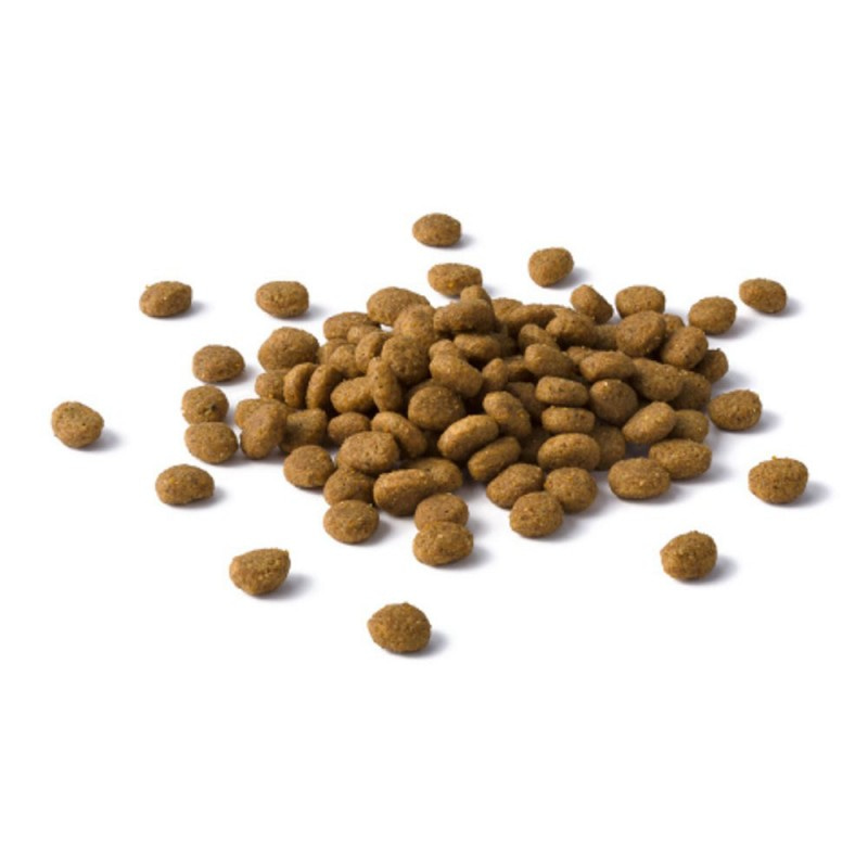 Сухой корм Cat Chow для стерилизованных кошек и кастрированных котов, с высоким содержанием домашней птицы и с индейкой, на развес, 500 гр