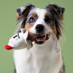 Купить Игрушка Mr.Kranch для собак мелких и средних пород Мороженое с канатом 29х8х6,5см, бежевое Mr.Kranch в Калиниграде с доставкой (фото 1)