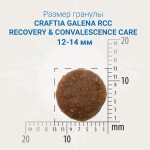 Купить CRAFTIA GALENA DOG RECOVERY&CONVALESCENCE CARE для собак поддержка в период восстановления и реабилитации 2кг Craftia в Калиниграде с доставкой (фото 1)