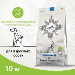 Купить CRAFTIA GALENA DOG RECOVERY&CONVALESCENCE CARE для собак поддержка в период восстановления и реабилитации 10кг Craftia в Калиниграде с доставкой (фото)