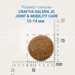 Купить CRAFTIA GALENA DOG JOINT & MOBILITY CARE для собак при заболевании суставов 2 кг Craftia в Калиниграде с доставкой (фото 1)