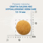 Купить CRAFTIA GALENA DOG HYPOALLERGENIC DERM CARE для собак при пищевой аллергии и заболеваниях кожи 2 кг Craftia в Калиниграде с доставкой (фото 1)