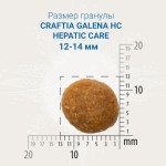 Купить CRAFTIA GALENA DOG HEPATIC CARE для собак при заболеваниях печени 2 кг Craftia в Калиниграде с доставкой (фото 1)