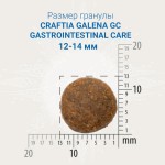 Купить CRAFTIA GALENA DOG GASTROINTESTINAL CARE для собак при заболеваниях ЖКТ 2 кг Craftia в Калиниграде с доставкой (фото 1)