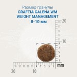 Купить CRAFTIA GALENA CAT WEIGHT MANAGEMENT (Obesity) для кошек при избыточном весе 4,5 кг Craftia в Калиниграде с доставкой (фото 1)