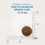 Купить CRAFTIA GALENA CAT URINARY CARE для кошек для растворения струвитных камней 4,5 кг Craftia в Калиниграде с доставкой (фото 1)