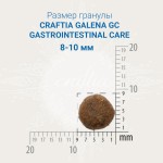 Купить CRAFTIA GALENA CAT GASTROINTESTINAL CARE для кошек при заболеваниях ЖКТ 4,5 кг Craftia в Калиниграде с доставкой (фото 1)