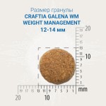 Купить CRAFTIA GALENA DOG WEIGHT MANAGEMENT (Obesity) для собак при избыточном весе 2 кг Craftia в Калиниграде с доставкой (фото 1)