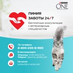 Купить Purina One для взрослых кошек с курицей и цельным злаками, 9.75 кг PURINA ONE в Калиниграде с доставкой (фото 24)