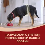 Купить Сухой корм Purina ONE для взрослых собак средних и крупных пород с ягненком и рисом, 10 кг PURINA ONE в Калиниграде с доставкой (фото 8)
