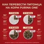 Купить Сухой корм Purina ONE для взрослых собак средних и крупных пород с ягненком и рисом, 10 кг PURINA ONE в Калиниграде с доставкой (фото 5)