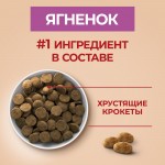 Купить Сухой корм Purina ONE для взрослых собак средних и крупных пород с ягненком и рисом, 10 кг PURINA ONE в Калиниграде с доставкой (фото 1)