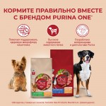 Купить Сухой корм Purina ONE для взрослых собак средних и крупных пород с ягненком и рисом, 10 кг PURINA ONE в Калиниграде с доставкой (фото 9)