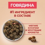 Купить Сухой корм Purina ONE для взрослых собак средних и крупных пород, с говядиной и рисом, 10 кг PURINA ONE в Калиниграде с доставкой (фото 1)