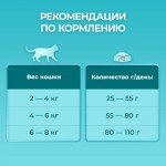 Купить Purina ONE® Сухой корм для домашних кошек с индейкой 9,75 кг PURINA ONE в Калиниграде с доставкой (фото 6)