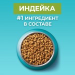 Купить Purina ONE® Сухой корм для домашних кошек с индейкой 9,75 кг PURINA ONE в Калиниграде с доставкой (фото 1)