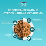 Купить Purina ONE® Сухой корм для домашних кошек с индейкой 9,75 кг PURINA ONE в Калиниграде с доставкой (фото 4)