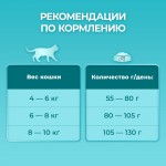 Купить Purina ONE для стерилизованных кошек и котов с лососем и пшеницей, 9.75 кг PURINA ONE в Калиниграде с доставкой (фото 16)