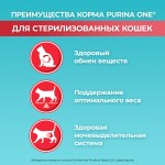 Купить Purina ONE для стерилизованных кошек и котов с лососем и пшеницей, 9.75 кг PURINA ONE в Калиниграде с доставкой (фото 15)